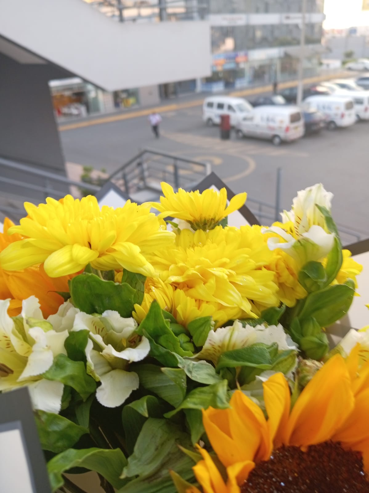 Las Primeras Flores de mi Vida